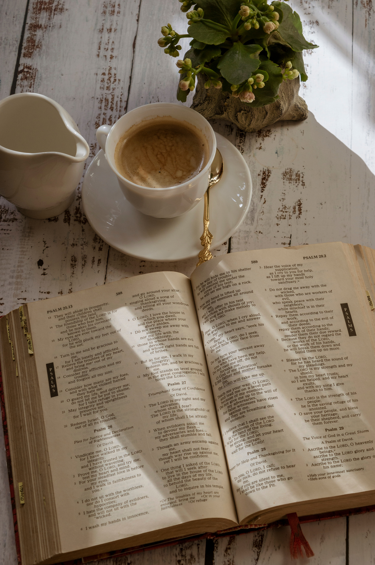 A Bible and a Cup of Coffee